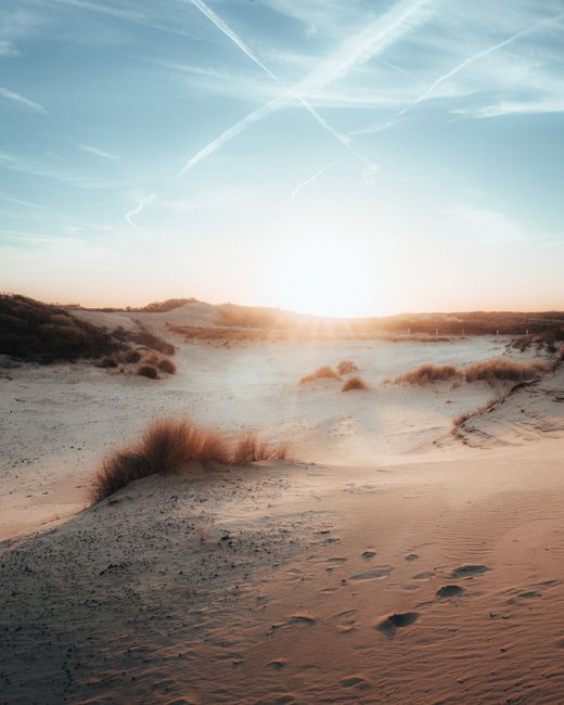 An individual is standing on a sandy beach near the water's edge during sunset, holding a camera or smartphone to take a photograph. A dog stands nearby on the wet sand, facing the water. The scene fe
